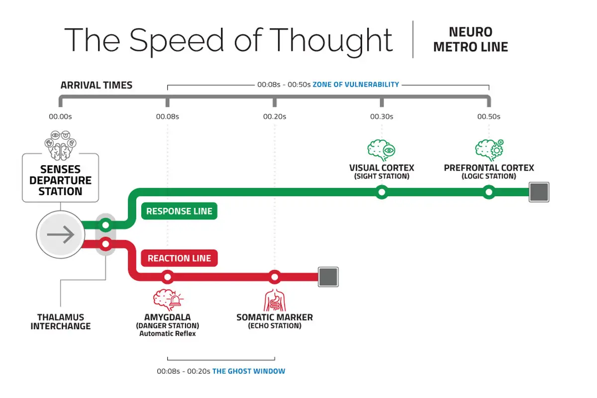 The human brains dual decision making process neuro metro line