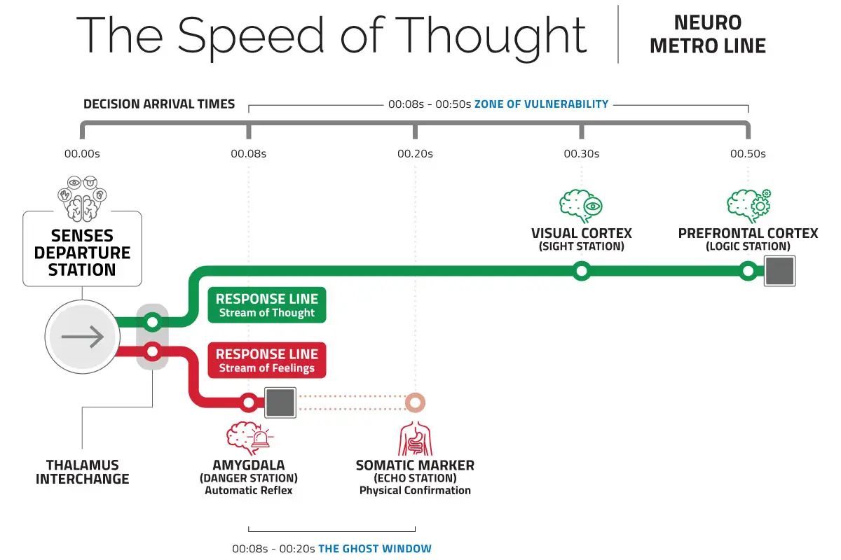 The human brains dual decision making process neuro metro line